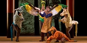 Magic Flute photo (16)