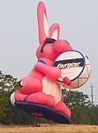 Bunny Balloon Balloon Photo (17)