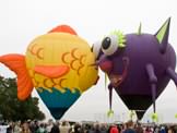 Windsor Balloon Photo (19)