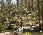 Fishing Hole near Sonora Pass