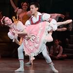 Coppelia photo (1-12)