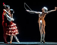 Don Quixote Photo (2)