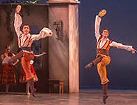 Don Quixote Photo (12)