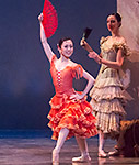 Don Quixote Photo (4)