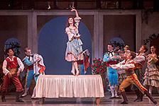 Don Quixote Photo (55)