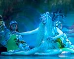 Little Mermaid Photo (2)