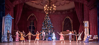 Nutcracker 2012 Photo (5)