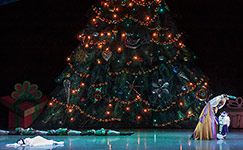 Nutcracker 2012 Photo (38)