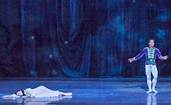 Nutcracker 2012 Photo (40)