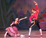 Nutcracker 2012 Photo (51)