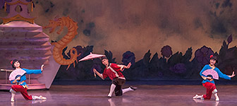 Nutcracker 2012 Photo (55)