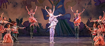 Nutcracker 2012 Photo (64)