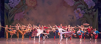 Nutcracker 2012 Photo (73)