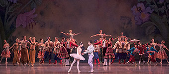 Nutcracker 2012 Photo (74)