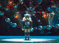 Nutcracker 2012 Photo (25)