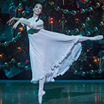 Nutcracker 2012 Photo (29)