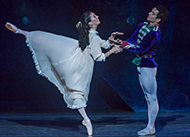 Nutcracker 2012 Photo (43)