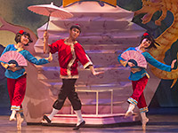 Nutcracker 2012 Photo (54)