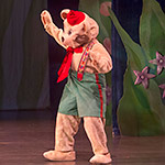 Nutcracker 2012 Photo (59)