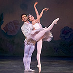 Nutcracker 2012 Photo (6x)