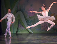 Nutcracker 2012 Photo (70)