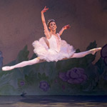 Nutcracker 2012 Photo (71)