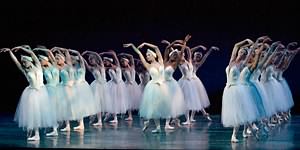 Swan Lake photo (2-11)