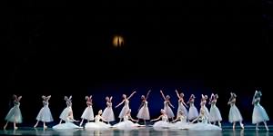 Swan Lake photo (2-12)