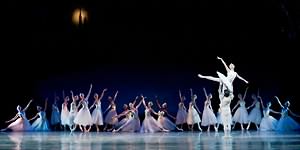 Swan Lake photo (2-24)