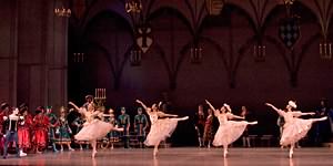 Swan Lake photo (3-8)