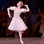 Swan Lake photo (1-13)