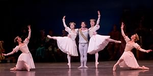 Swan Lake photo (1-15)