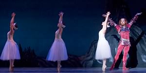 Swan Lake photo (2-3)