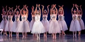 Swan Lake photo (2-4)