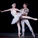 Swan Lake photo (2-9)