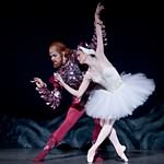 Swan Lake photo (2-10)