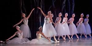 Swan Lake photo (2-13)