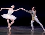 Swan Lake photo (2-16)