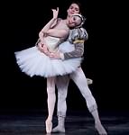 Swan Lake photo (2-19)