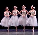 Swan Lake photo (2-20)