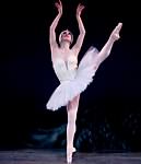 Swan Lake photo (2-21)