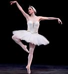 Swan Lake photo (2-22)