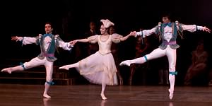 Swan Lake photo (3-6)