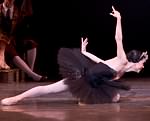 Swan Lake photo (3-20)