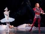 Swan Lake photo (4-2)