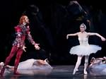 Swan Lake photo (4-3)