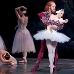 Swan Lake photo (4-4)