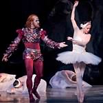 Swan Lake photo (4-5)