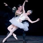 Swan Lake photo (4-10)