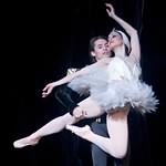 Swan Lake photo (4-11)